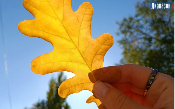 Погода в Актобе на 18-20 октября. Снег и дождь обещают синоптики