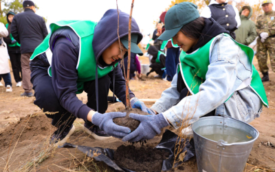1350 деревьев посадили сегодня школьники Актобе