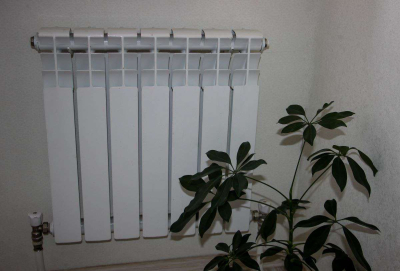 В Германии более 5 млн жителей экономили на отоплении в 2024 году