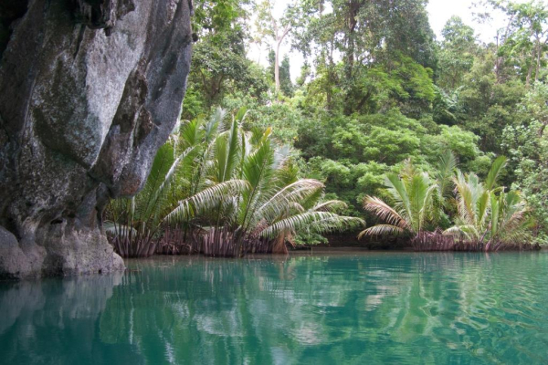 Вьетнамские гиды нашли новые способы обмана туристов