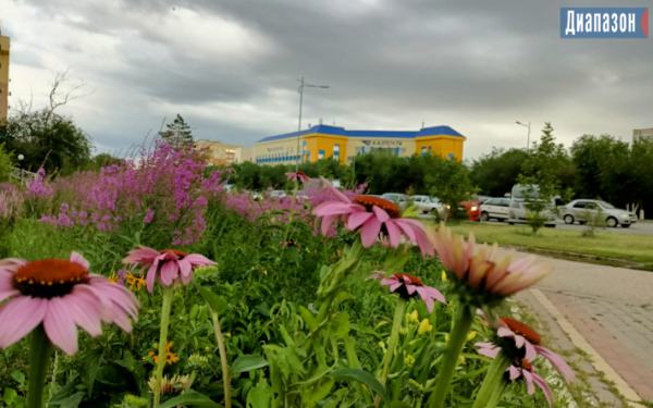 Погода в Актобе в начале августа. Вновь встречаем жару?