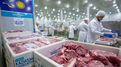 Казахстан получил доступ на рынок Ирака для экспорта мяса: подписаны ветеринарные сертификаты