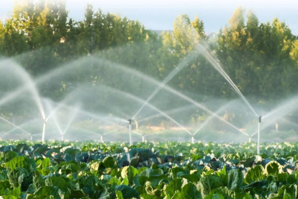 Недополученную воду поставят в Казахстан Кыргызстан и Узбекистан