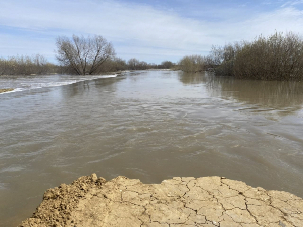 Новосибирская область готовится к мощным подтоплениям на выходных
