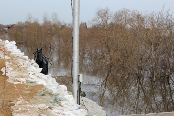 В Новосибирской области начали готовиться к паводку из-за снежной зимы