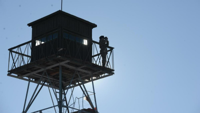 &laquo;Мощный прокатчик и оригинальная история&raquo;: кинокритик объяснил причину успеха &laquo;Чебурашки 2&raquo;