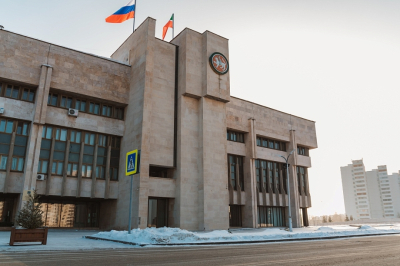 Многодетные Челнов установили рекорд по количеству обращений в исполком