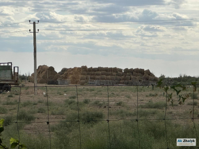 Сено подорожало, план недовыполнен: как Индер входит в зимний сезон