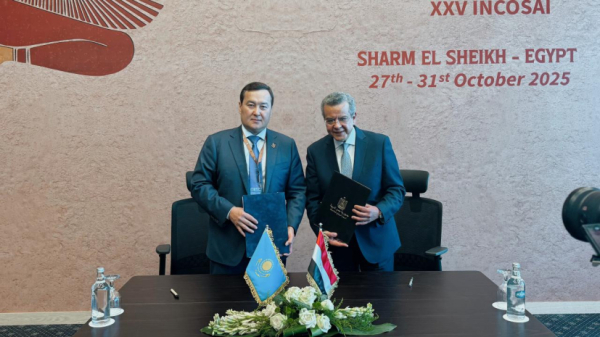 Казахстан и Египет будут сотрудничать в сфере госаудита