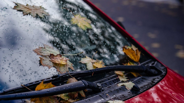 Дождь и снег: прогноз погоды для Астаны, Алматы и Шымкента