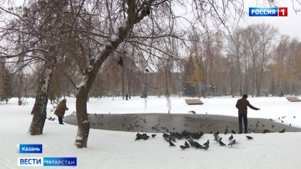 Стало известно, когда растает снег в Татарстане