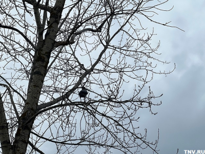 Татарстанцев предупредили об ухудшении метеоусловий