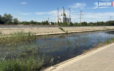 Кто чистит русло и сколько выделяют средств на уход за рекой в центре города