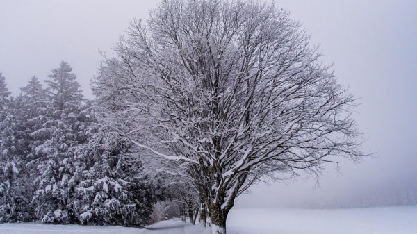 Зима в Казахстане ожидается умеренно теплая
