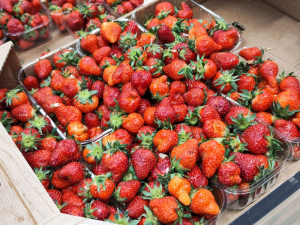 Бизнесмен Бугорский: российские ягоды будут стоить дороже импортных