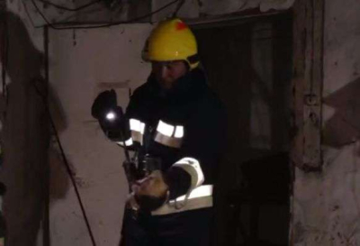 В Алматы пожарные спасли 19 хомяков и 10 баранов