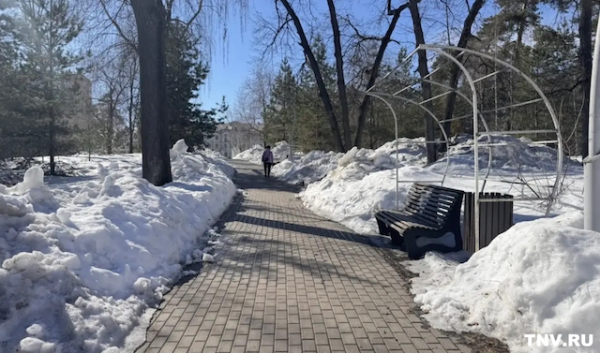 Синоптик Тишковец назвал дату полного исчезновения снега в центре России