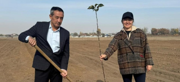 О результатах двухлетней работы по возрождению сорта яблони Алматинский Апорт, рассказали в Минсельхозе