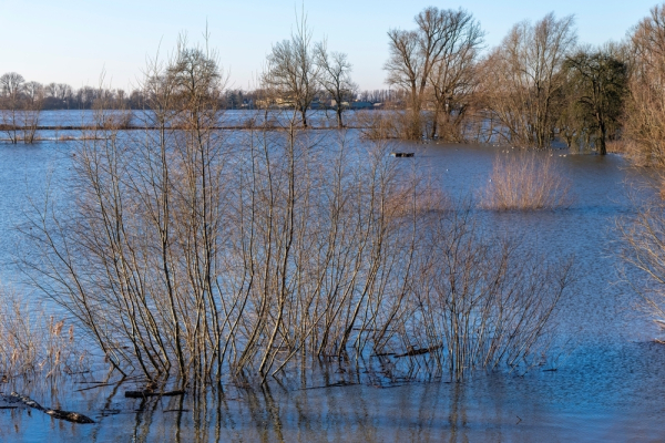 В Татарстане запустили систему мониторинга и прогнозирования паводка