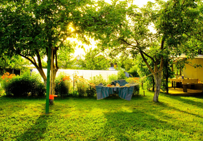 Рослесхоз: с 1 марта за распространение ясенелистного клена грозит штраф