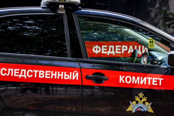 Петербургский школьник выстрелил в девочку из ракетницы из-за случайности