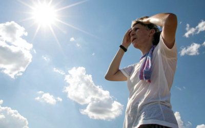 Жара снижает активность мозга и его функции