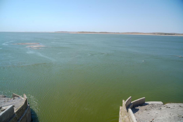 В Туркестанской области усилили контроль за подачей воды на сельхозугодья