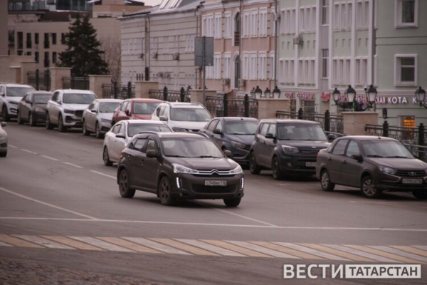 В Татарстане в ходе рейдов &laquo;Чистый воздух&raquo; проверили более 1 200 автомобилей