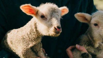 10 июля: какие праздники отмечают в Казахстане и мире