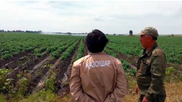 Почти 9 млн кубометров воды использовали для полива фермеры в Актюбинской области