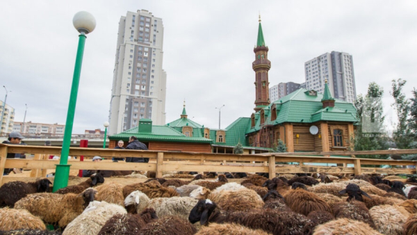 Встречаем Курбан-байрам: когда праздничный намаз, какие молитвы читать и где совершить курбан 05/05/2026 &ndash; Новости