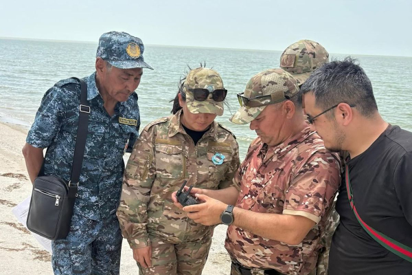 Гибель птиц на острове Шалыга: инфекций не обнаружено