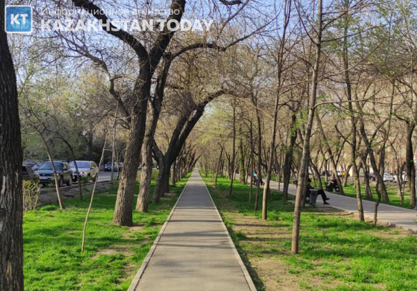 В Алматы часть улицы Пушкина станет пешеходной аллеей
