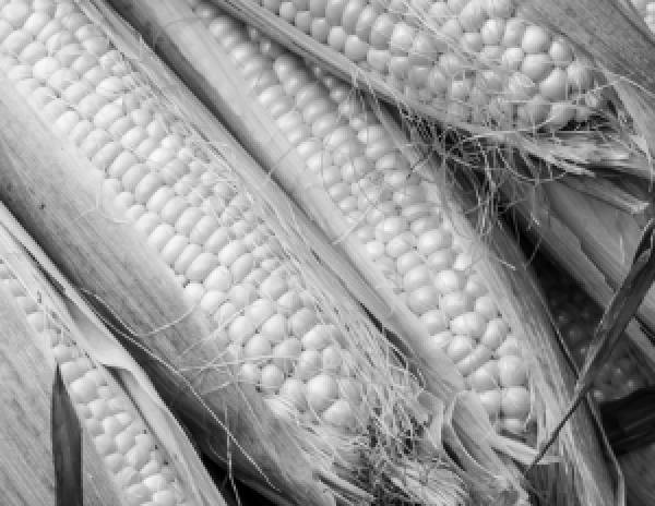 США нанесли удары по подземным военным объектам в Иране