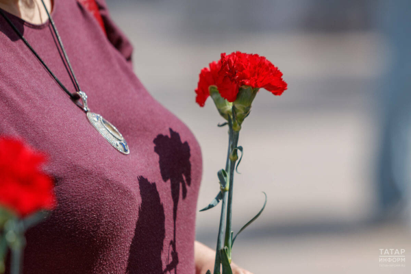 Сбор средств на помощь ветеранам в рамках акции &laquo;Красная гвоздика&raquo; пройдет в Татарстане