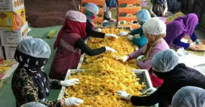 Афганистан готов поставлять овощи и фрукты в Россию вместо иранских