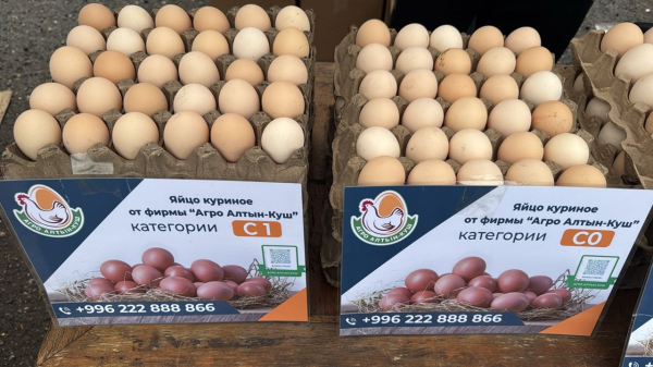 На фермерской ярмарке в Базар-Коргоне мясо продают по 650 сомов