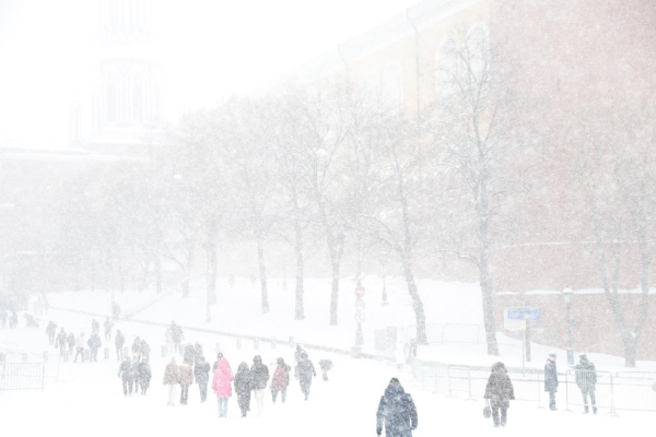 Синоптик Позднякова: 7 февраля в Москве практически все сутки будет снег