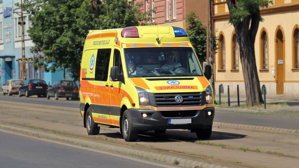 SHOT: на Шри-Ланке дикий слон напал на россиян во время попытки сделать селфи