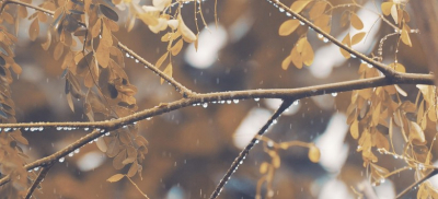 Штормовое предупреждение из-за сильных дождей и порывистого ветра объявили в ряде регионов Казахстана