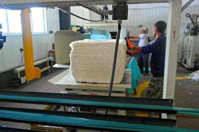 Посеяли хлопок, вырастили&hellip; кластер