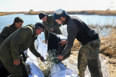 Масштабное зарыбление реки Или провели в Алматинской области
