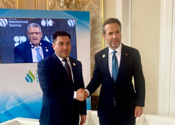 Казахстан и ОАЭ продвигают флагманский проект в сфере ВИЭ