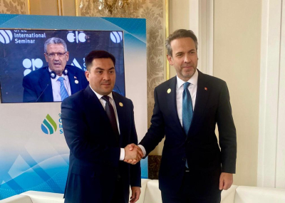 Казахстан и ОАЭ продвигают флагманский проект в сфере ВИЭ